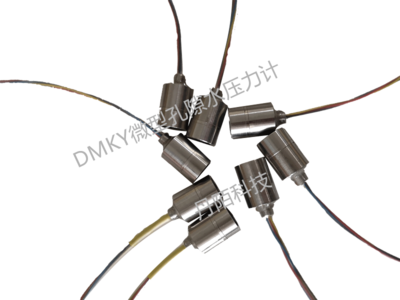 DMKY微型孔隙水压力计-模型试验