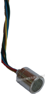 DMKY-2標準信號微型孔隙水壓力計